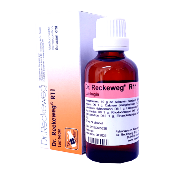 R11 LUMBAGIN SOLUCIÓN ORAL