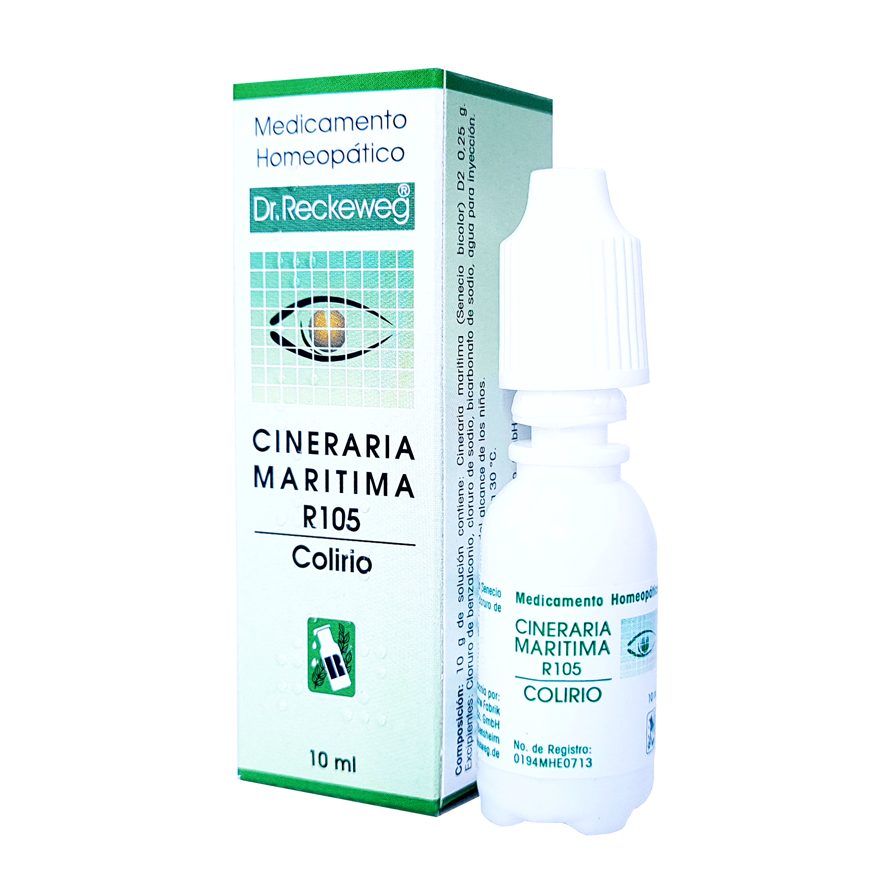 R105 CINERARIA MARÍTIMA