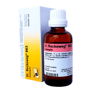 R63 ENDANGITIN SOLUCIÓN ORAL